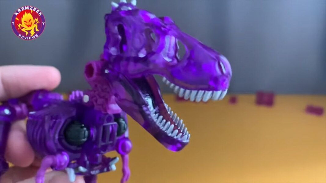 purple paleotrex